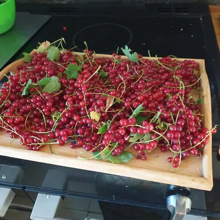 Bed & Breakfast La Maison Babjac *