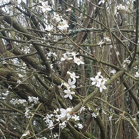 La Maison Babjac Ury