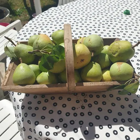 Bed & Breakfast La Maison Babjac