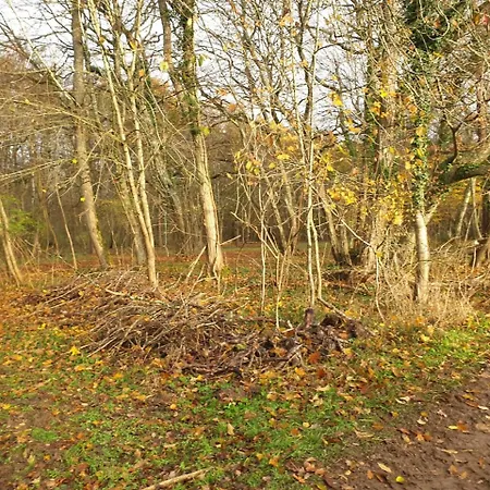 Bed & Breakfast La Maison Babjac *