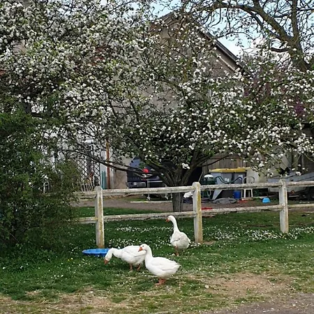 Bed & Breakfast La Maison Babjac Ury