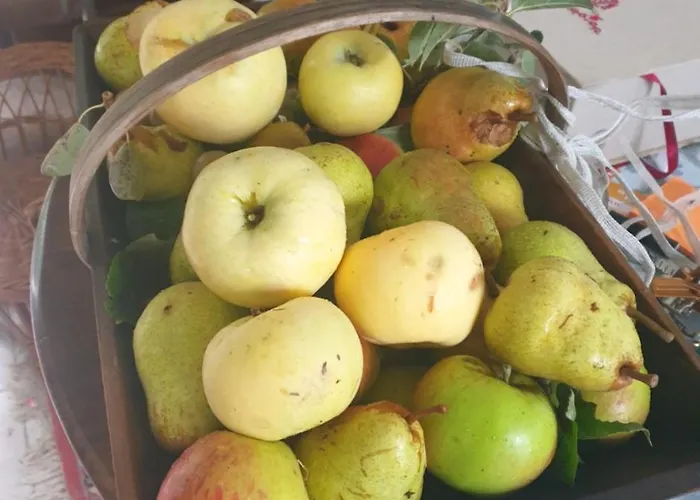 Bed & Breakfast La Maison Babjac *