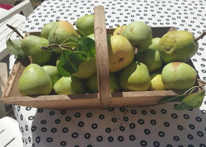 Bed & Breakfast La Maison Babjac