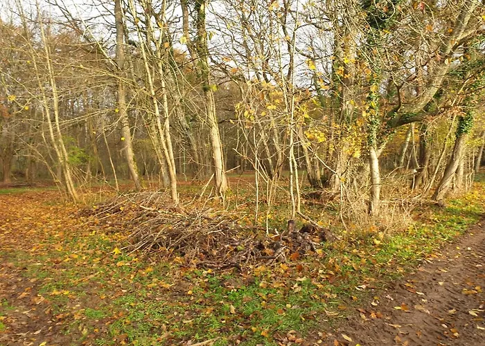 Bed & Breakfast La Maison Babjac *