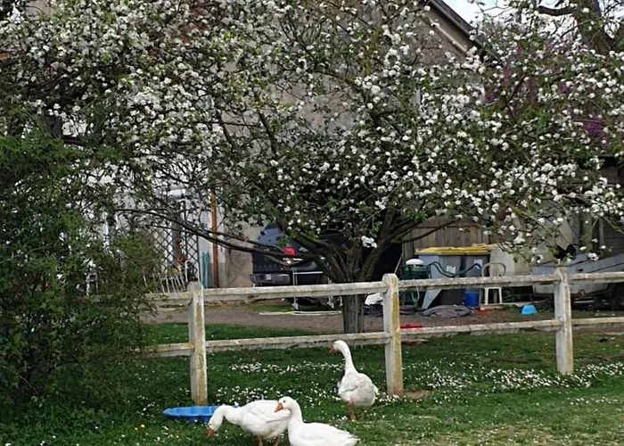 Bed & Breakfast La Maison Babjac Ury