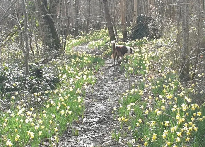 La Maison Babjac Ury